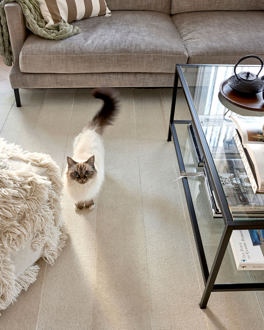 Classic-Stripe-Boucle-Matta-Ivory-Miljo_1.jpg Stripe Boucle Matta i färgen Ivory under soffgrupp i vardagsrum med en katt